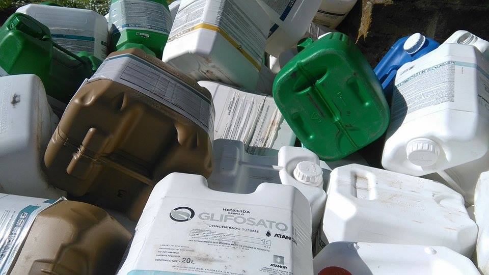 Peligro en Saavedra: Tiraron bidones de agroquímicos en el basurero y el municipio hizo la denuncia