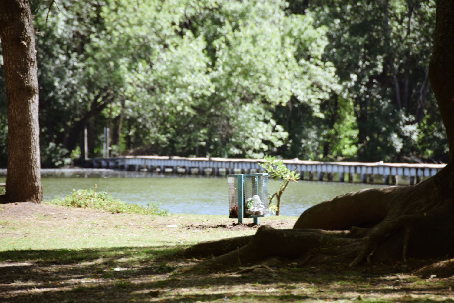 9 de Julio: Reabre Parque San Martín tras un mes cerrado por presencia de cianobacterias