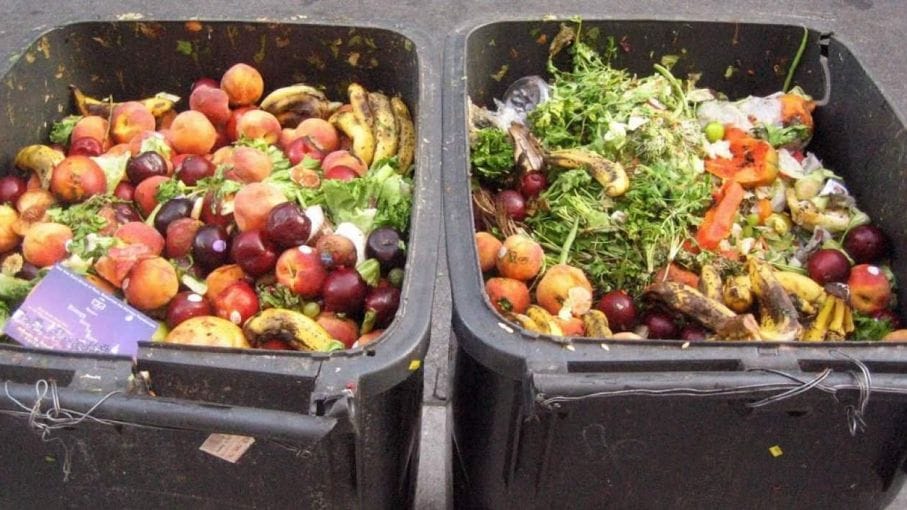 Gobierno bonaerense presentó las acciones para reducir el desperdicio de alimentos