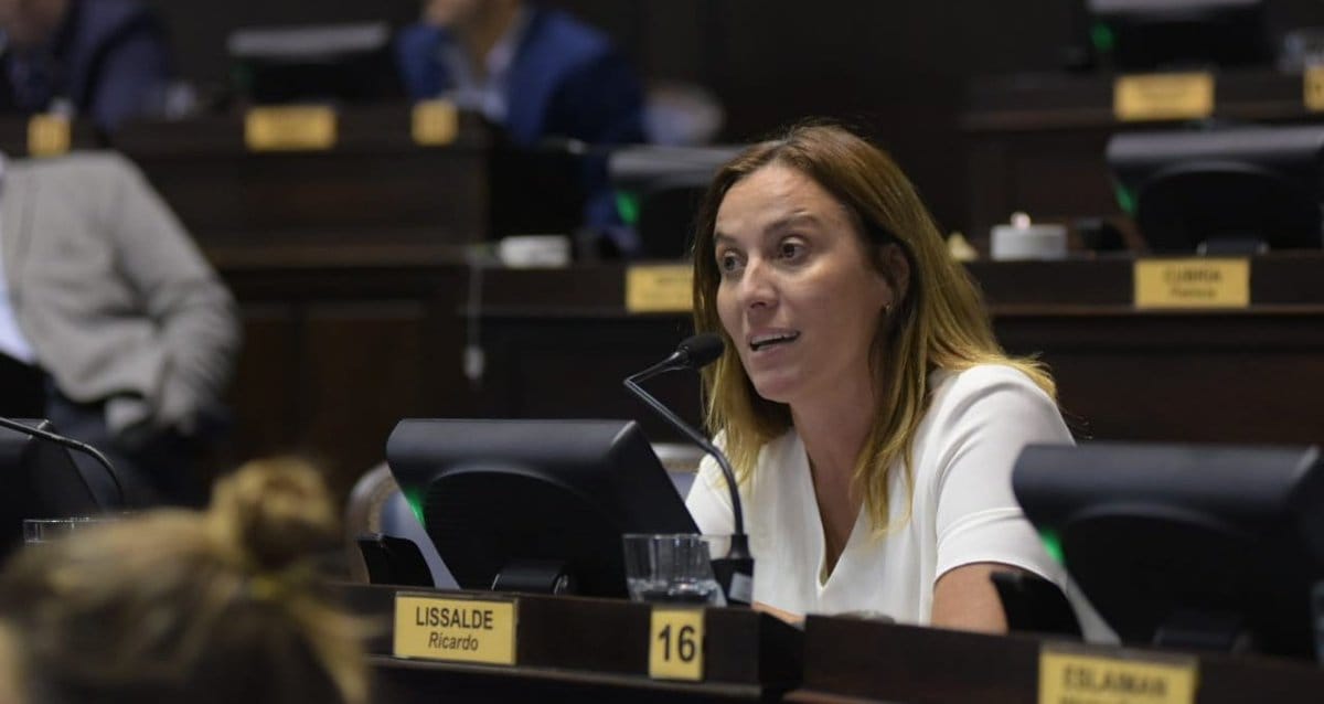 Valeria Arata le dijo "no al Presupuesto 2019": "Macri y Vidal son el mismo fracaso"
