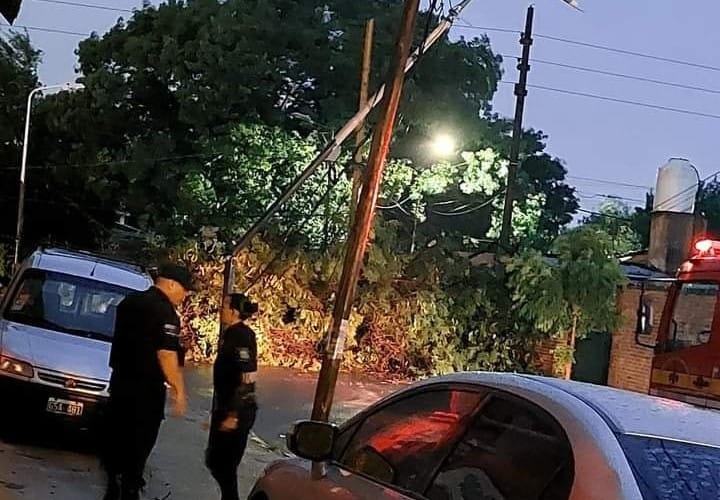Tragedia en San Miguel: Un árbol cayó y aplastó a una mujer 