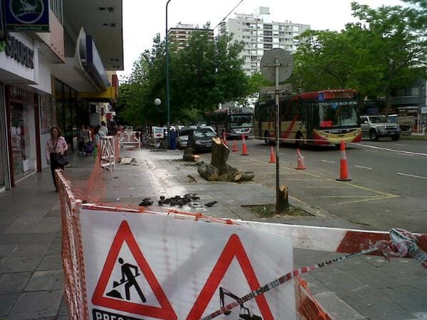 Vicente López: Repudian tala de 200 árboles por el avance del Metrobus 