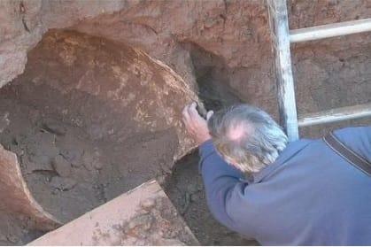 Hallaron restos fósiles de un Gilptodonte en Alberti
