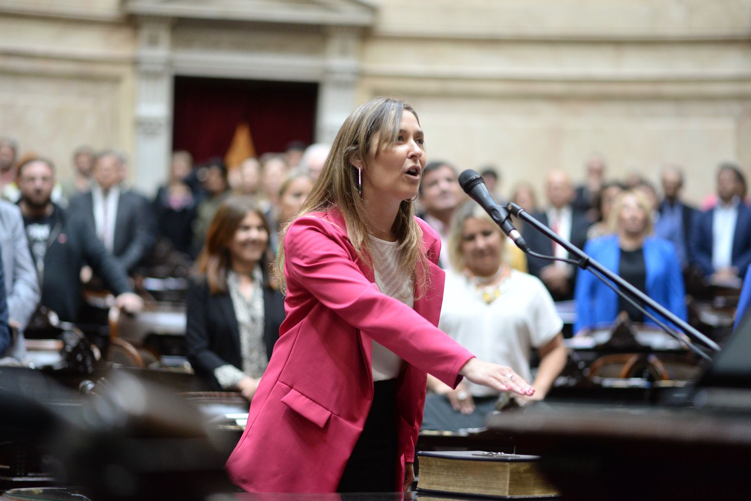 Diputados: Entre gritos y reproches, juró la herense Carolina Arricau en reemplazo de Jimena López