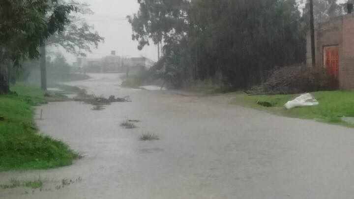 Azul: Tras las lluvias, vecinos reclamaron obras de infraestructura para evitar inundaciones 