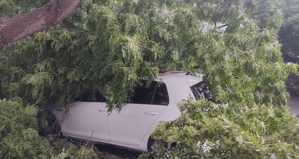 Tras el calor, hubo tormentas y algunos destrozos en el sudeste de la Provincia de Buenos Aires