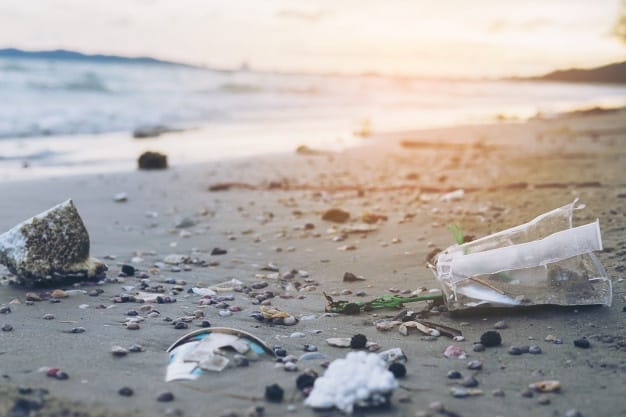 Censo bonaerense de Basura en playas 2021: Más del 80% de los residuos encontrados son plásticos