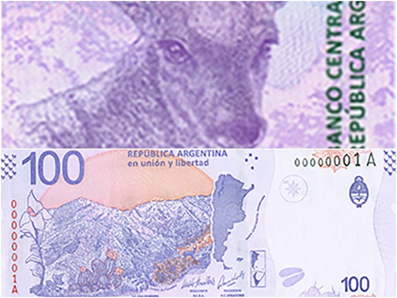 Lanzan el nuevo billete de $100 con la taruca en el dorso: Convivirá con los de Roca y Evita