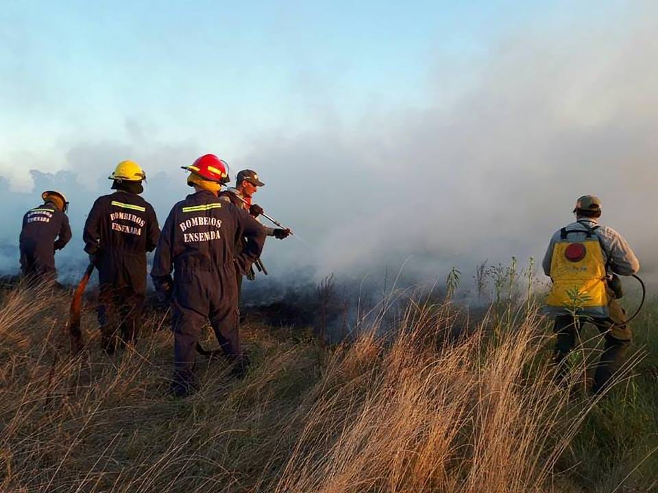 Incendio en la reserva de Punta Lara: Gran columna de humo