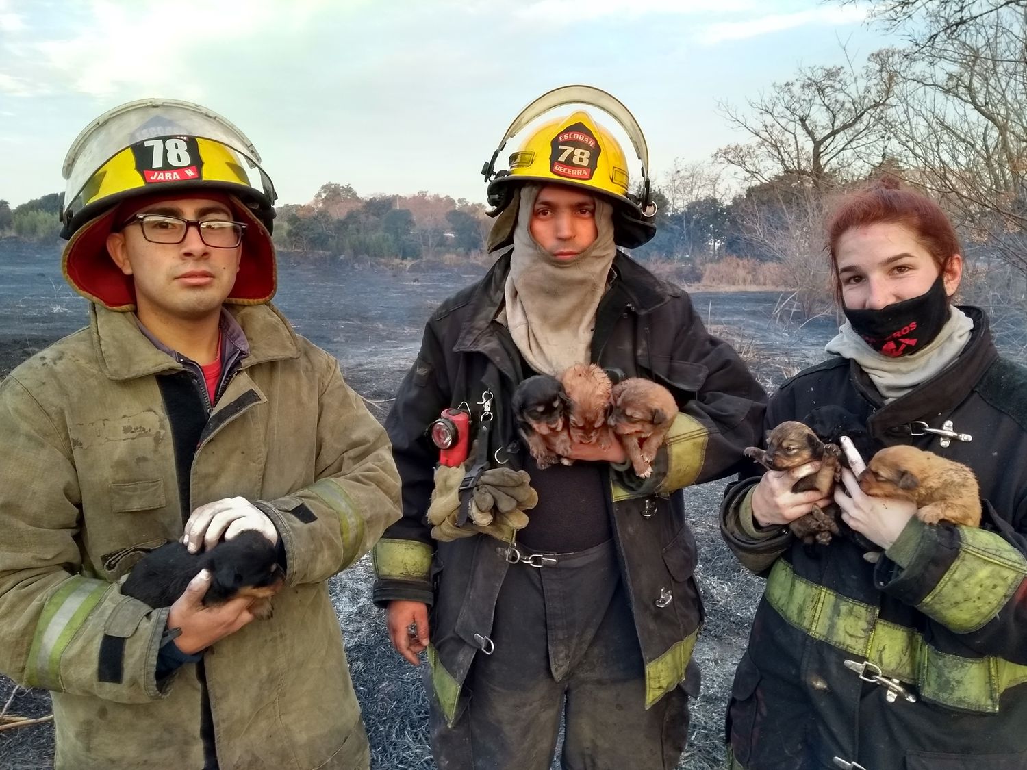 Escobar: Bomberos rescataron siete cachorros en un incendio de un campo y lograron darlos en adopción