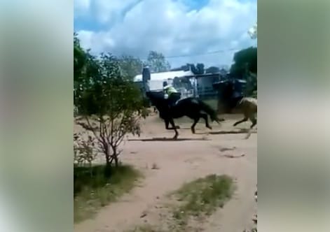 Video: Desafectan policías borrachos que corrían carreras con caballos en Pinamar