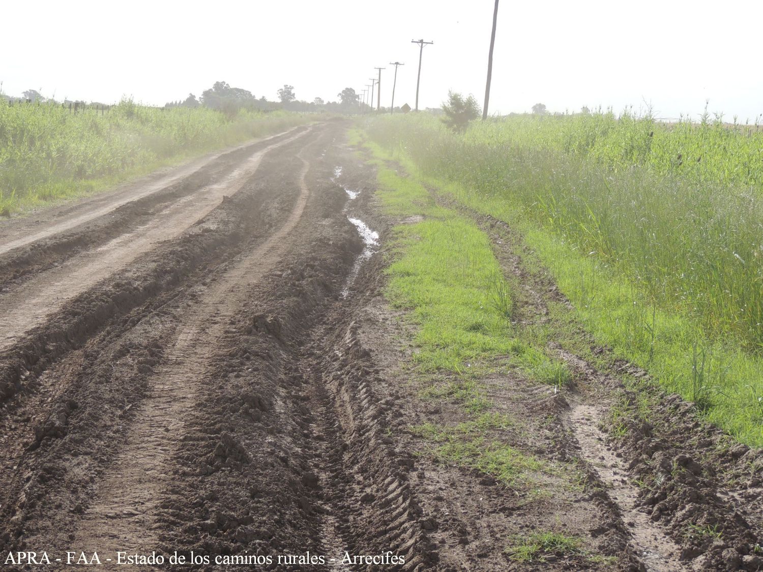 Emergencia Agropecuaria: Nación y municipios planifican reparación de caminos rurales