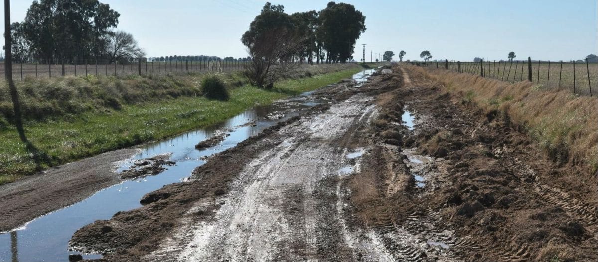 Unos 4.000 kilómetros de caminos rurales serán reparados en la Provincia de Buenos Aires