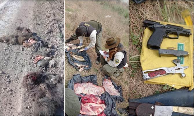 Campana: Trasladaban cueros y carne faenada de carpinchos y ciervos en cercanías a parque nacional
