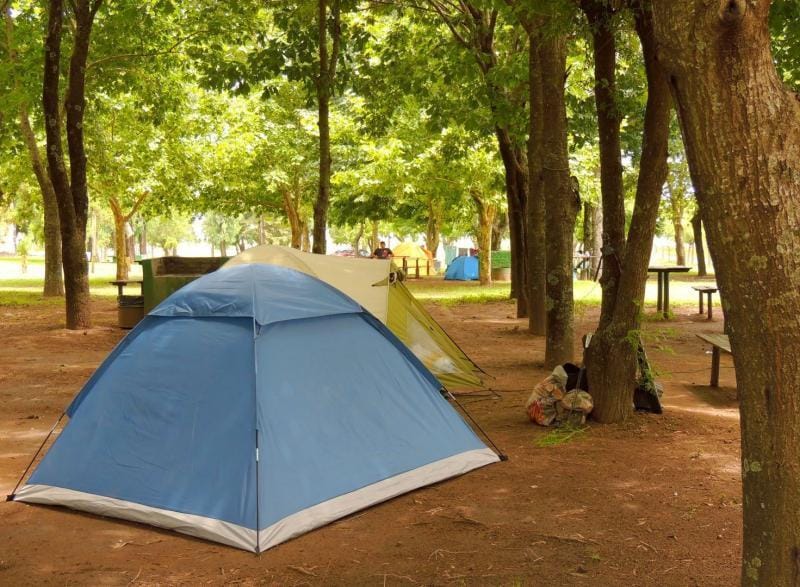 ¿Camping en verano?: Cuatro municipios bonaerenses presentan protocolos para que los habilite Provincia