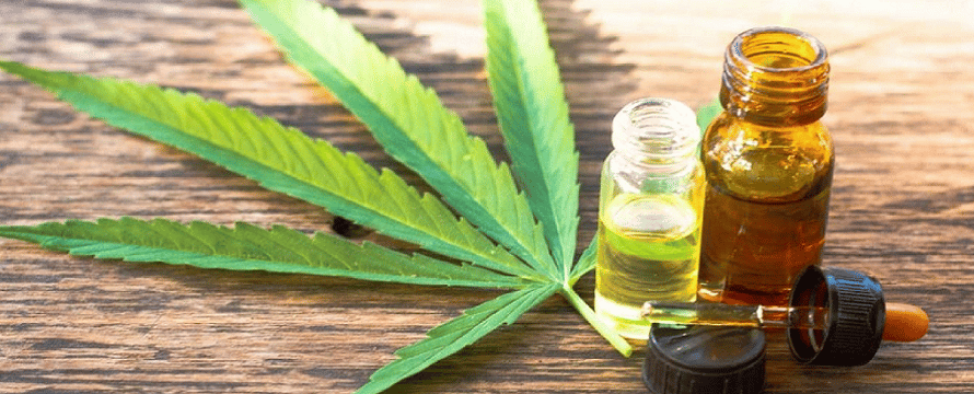 Cannabis medicinal en Chascomús: Adhieren a la ley nacional