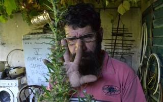 La Plata: Tras un reclamo, la Justicia ordenó liberar a Daniel Loza, el cultivador de cannabis solidario