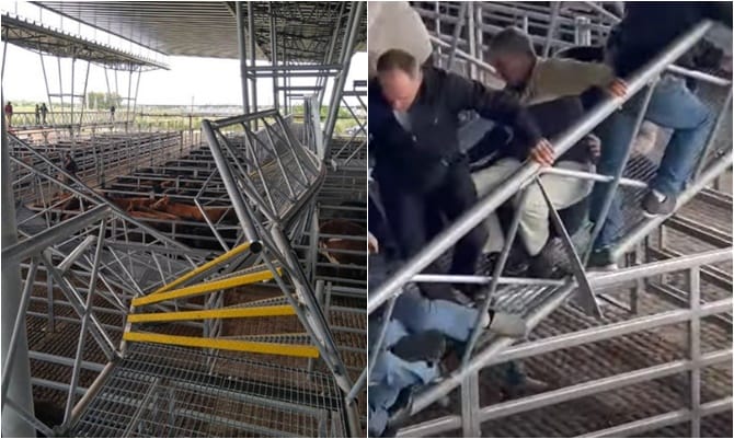 Video: Varios heridos al caerse una pasarela en una prueba del nuevo Mercado de Cañuelas
