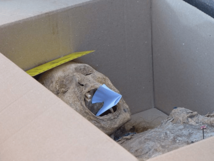 Castelli: Les dejan un cráneo en una caja en la puerta de la casa