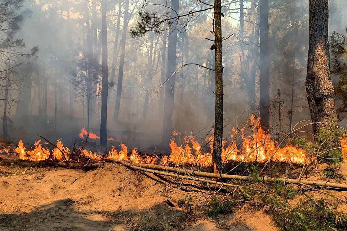 Cardozo: “Nuestra zona sigue en estado de riesgo muy alto por incendios forestales”