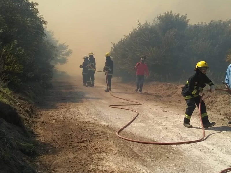 Video: Incendio en la estación forestal de Claromecó