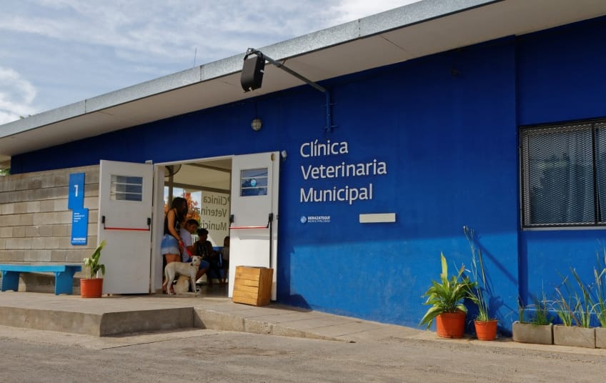 Cómo funciona la Clínica Veterinaria Municipal de Berazategui, la primera de su tipo en el país