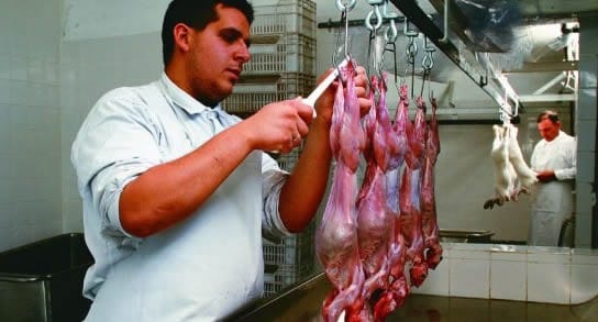 Buscan potenciar el consumo de carne de conejo en la Provincia