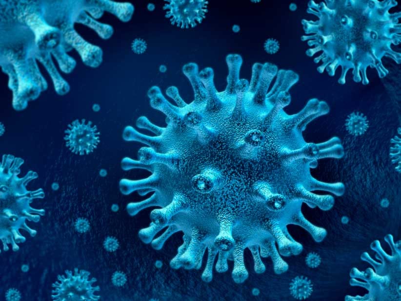 Coronavirus en Argentina: Cuáles son las precauciones y cuidados y qué hacer si se tienen síntomas