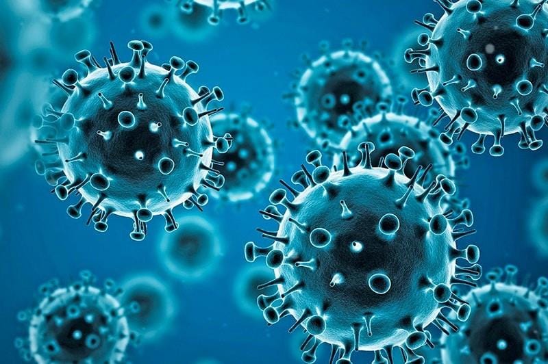 #Coronavirus Parte 28 de noviembre de 2021: 888 casos y 12 muertes informadas en las últimas 24 horas