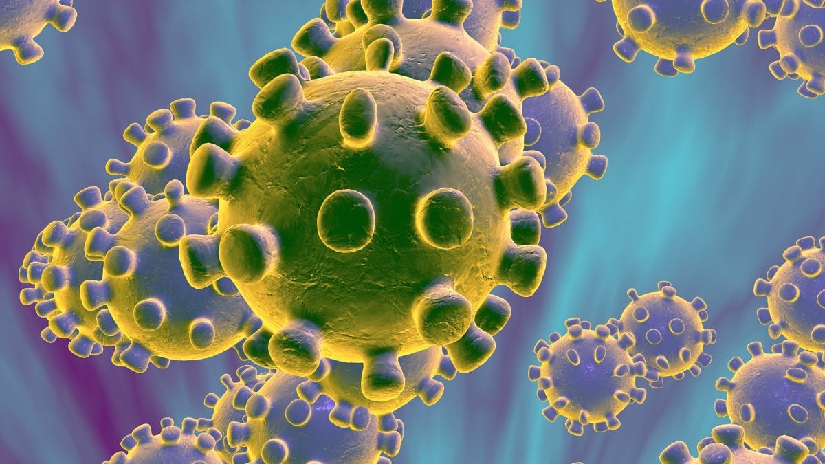 #Coronavirus 1 de febrero: 6.614 nuevos casos y 275 muertes informadas en las últimas 24 horas