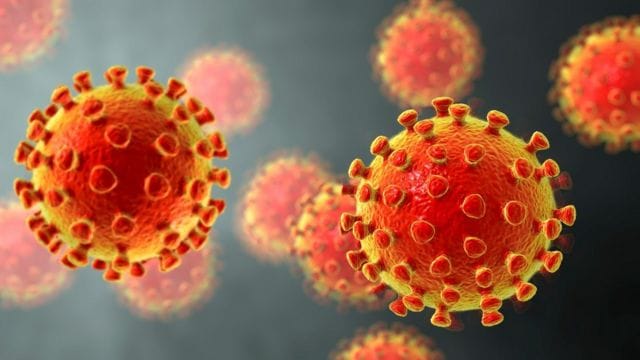 #Coronavirus 10 de febrero: Con 7.739 nuevos casos y 227 muertes, Argentina superó los 2 millones de infectados