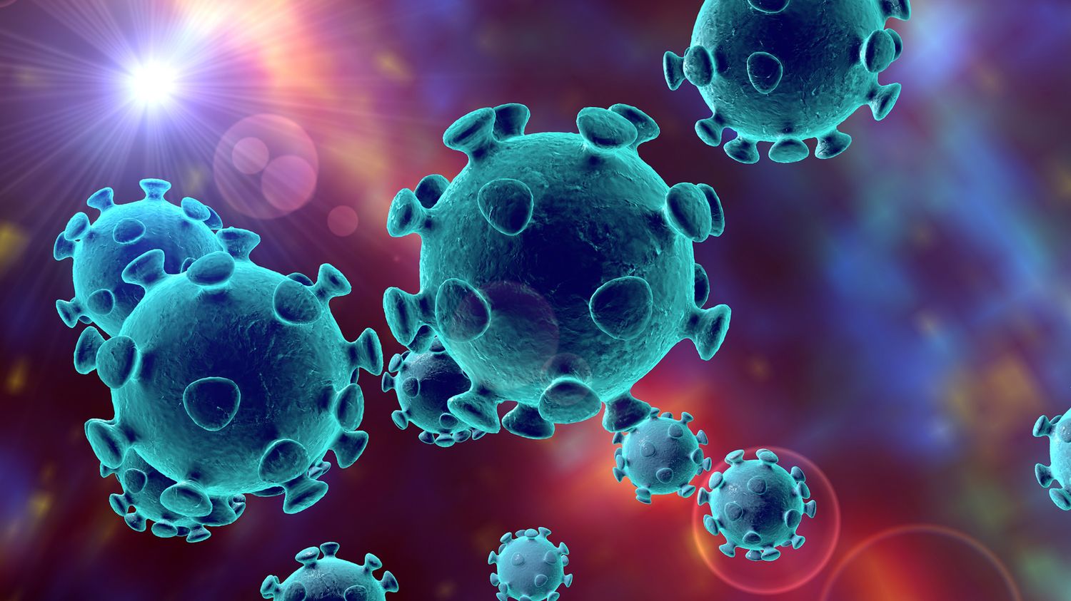 #Coronavirus 16 de enero: 8.932 nuevos casos y 68 nuevas muertes informadas en las últimas 24 horas