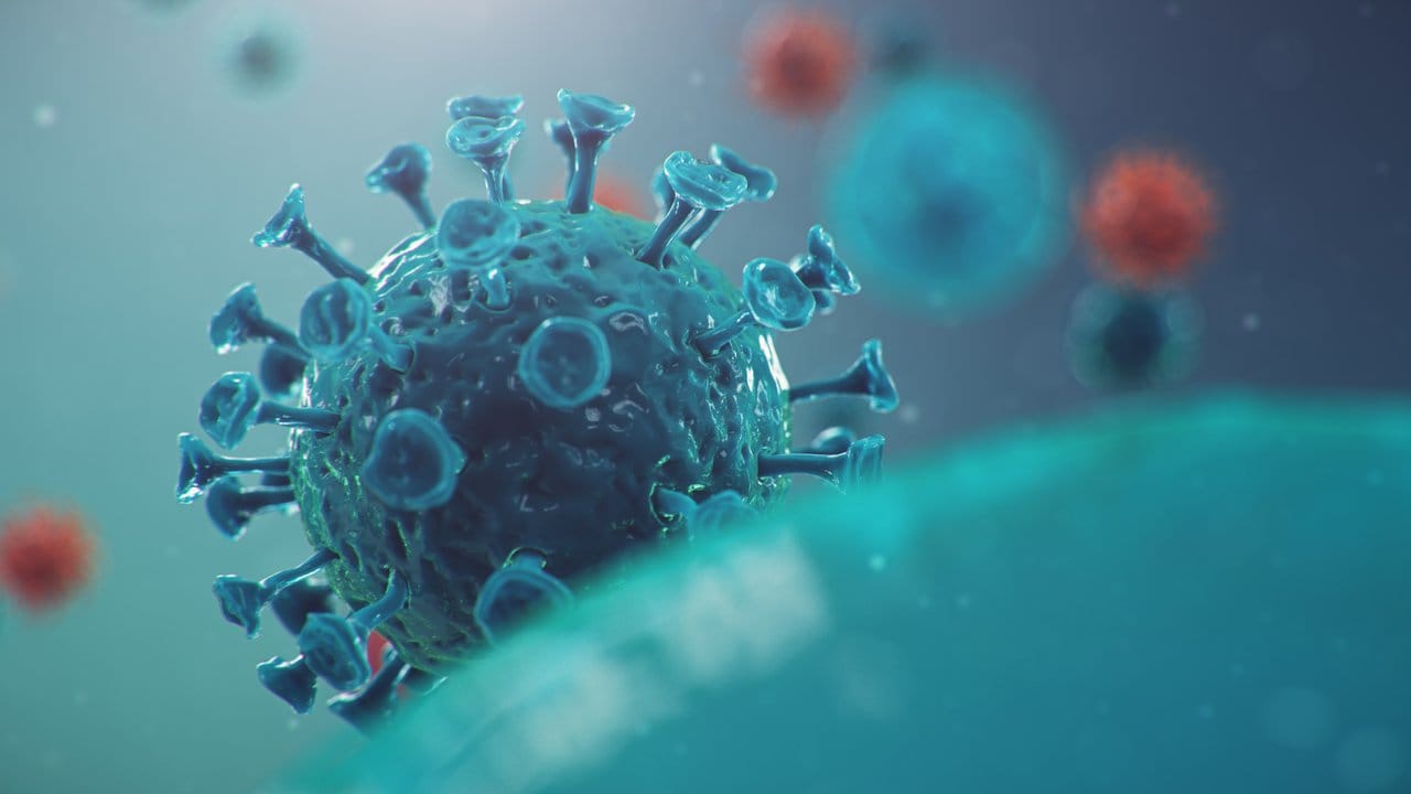 #Coronavirus 2 de febrero: 9.695 nuevos casos y 177 muertes informadas en las últimas 24 horas