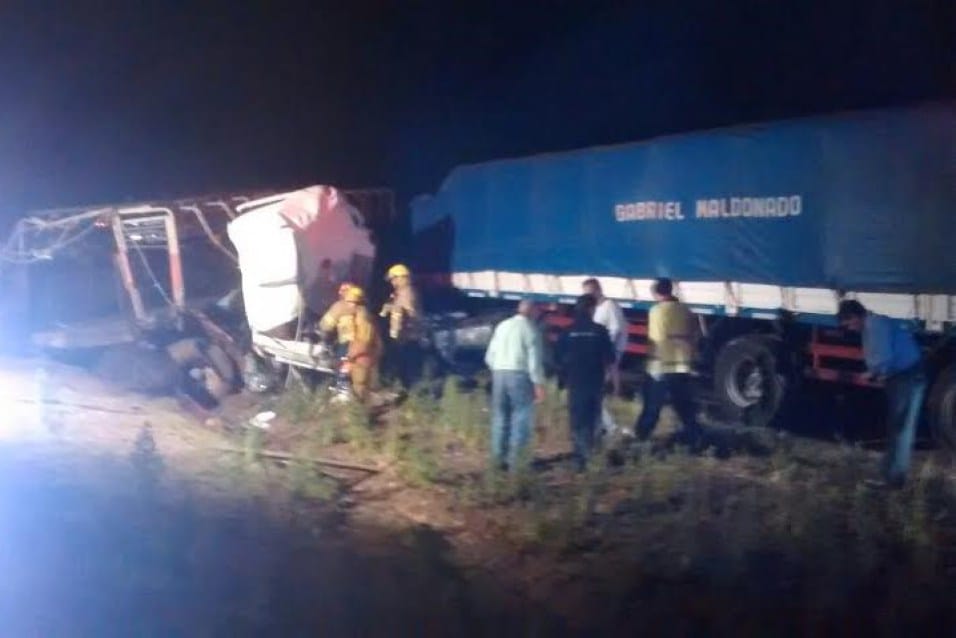 Luján: Choque frontal de camiones dejó vacas muertas en la ruta
