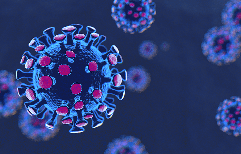 #Coronavirus 23 de agosto: 6.135 nuevos casos y 257 muertes reportadas en las últimas 24 horas
