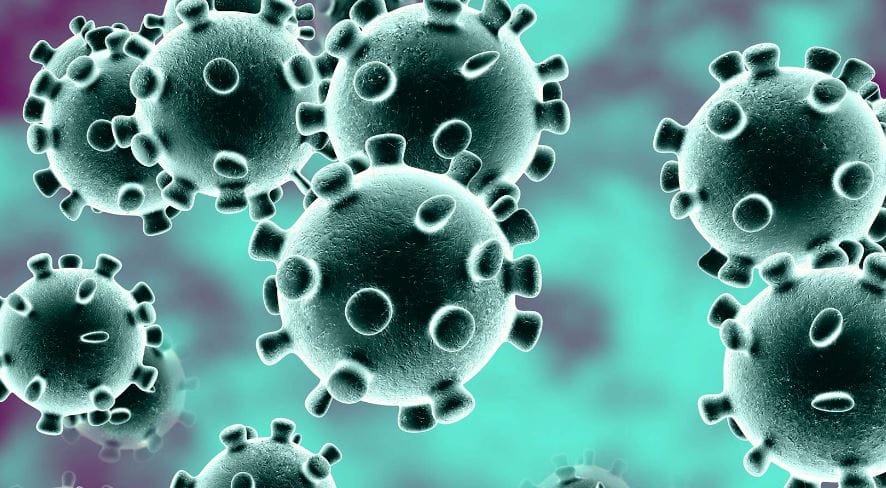 #Coronavirus Parte 4 de diciembre de 2021: 1.690 casos y 4 muertes informadas en las últimas 24 horas