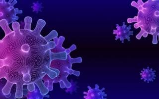 #Coronavirus Parte 7 de noviembre de 2021: 593 casos y 13 muertes informadas en las últimas 24 horas