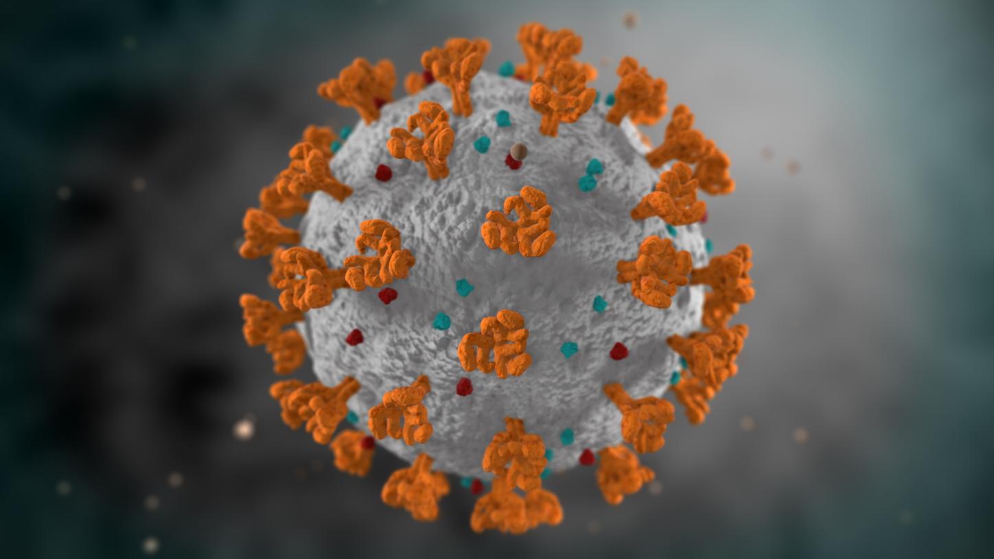 #Coronavirus 19 de octubre: 1.303 nuevos casos y 34 muertes reportadas en las últimas 24 horas