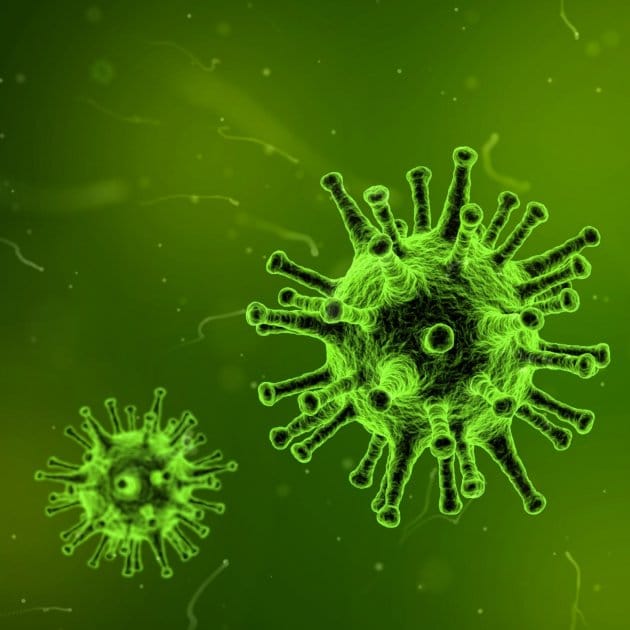 #Coronavirus 14 de enero: 13.286 nuevos casos y 142 muertes informadas en las últimas 24 horas