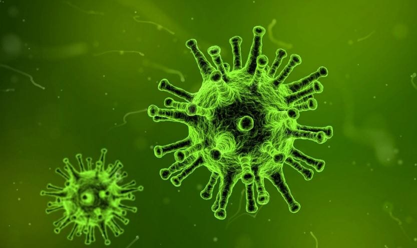 #Coronavirus 11 de agosto: 11.397 nuevos casos y 223 muertes reportadas en las últimas 24 horas