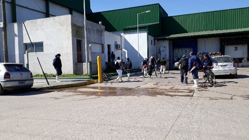 Crisis en Criave de Roque Pérez: Confirman más de 200 despidos
