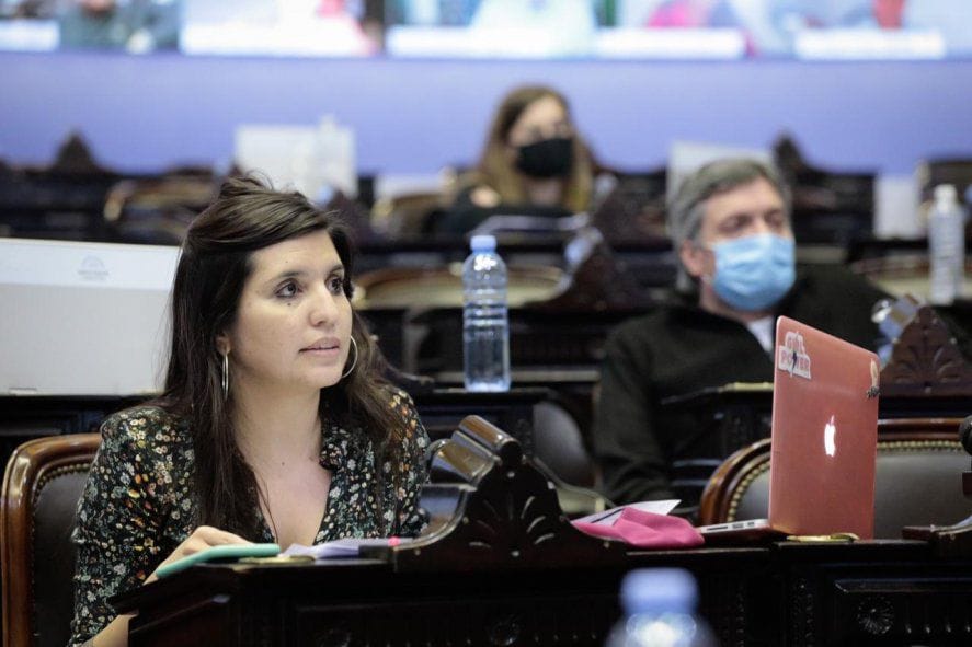 Daniela Vilar defendió el proyecto de Máximo para evitar los incendios: "Si se termina el negocio se apaga el fuego"