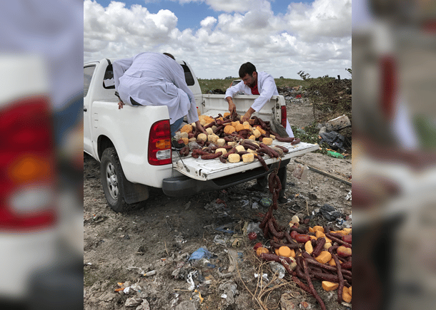 La Provincia decomisó 2140 kilos de alimentos en Pinamar y Tordillo