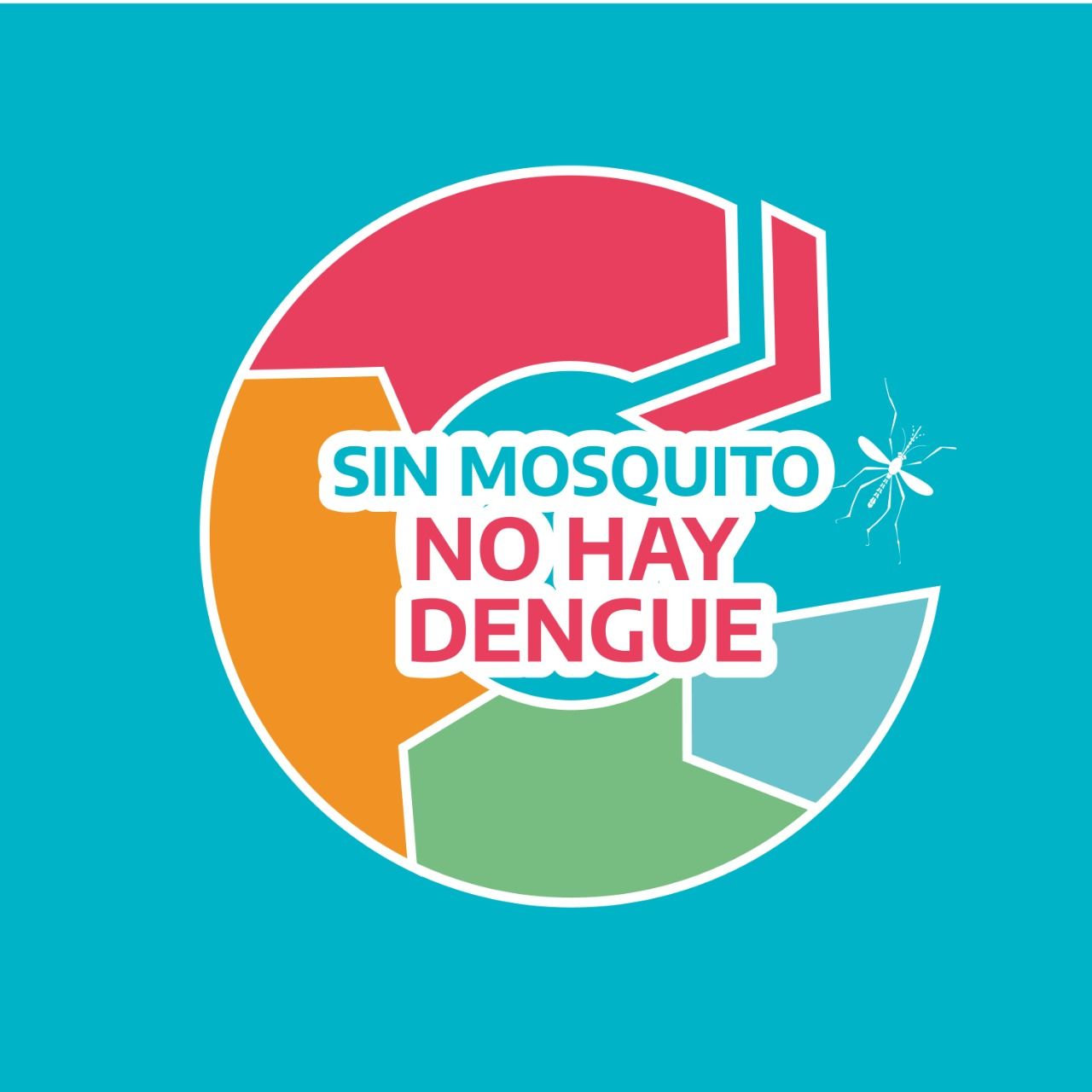 Dengue: Municipios bonaerenses advierten la proliferación del mosquito y explican cómo combatirlo
