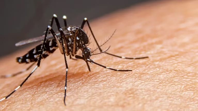 Segunda muerte por dengue en la Provincia: Es un joven de 22 años sin comorbilidades de Tres de Febrero