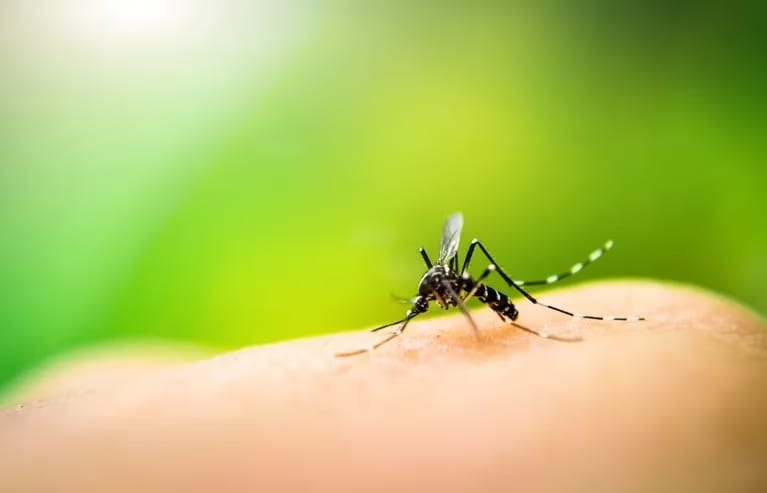 Tercera muerte por dengue en Provincia de Buenos Aires en lo que va de 2023