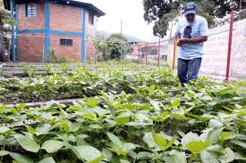 Navarro: Subsidio a la producción agrícola periurbana