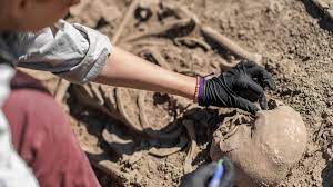 Necochea: encontraron restos de un "Tigre Diente de Sable" donde construían una casa