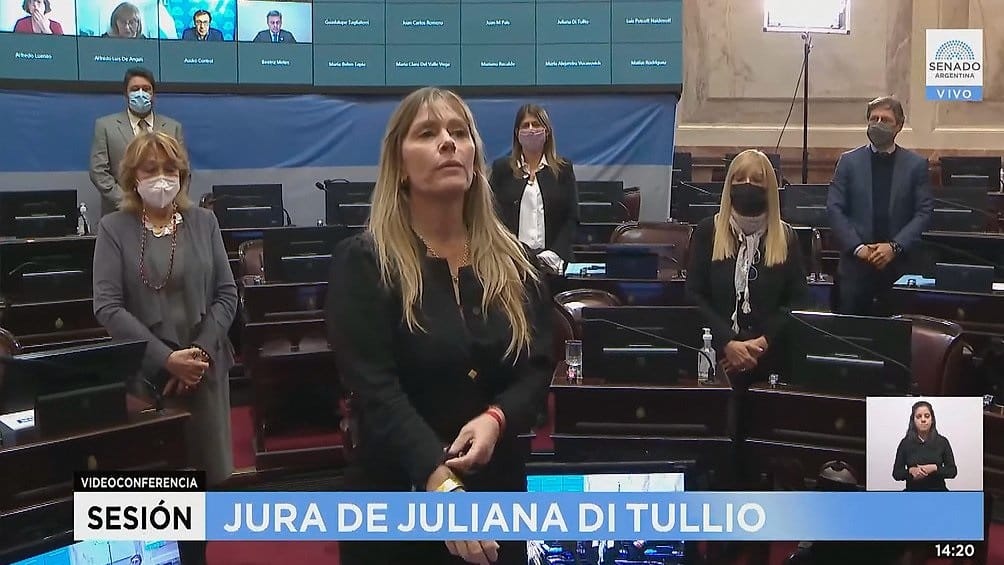Juliana Di Tullio juró como senadora