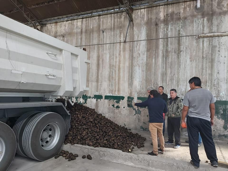 Una empresa para nada "miserable": MacCain donó 19 mil kilos de papas al municipio bonaerense de Patagones